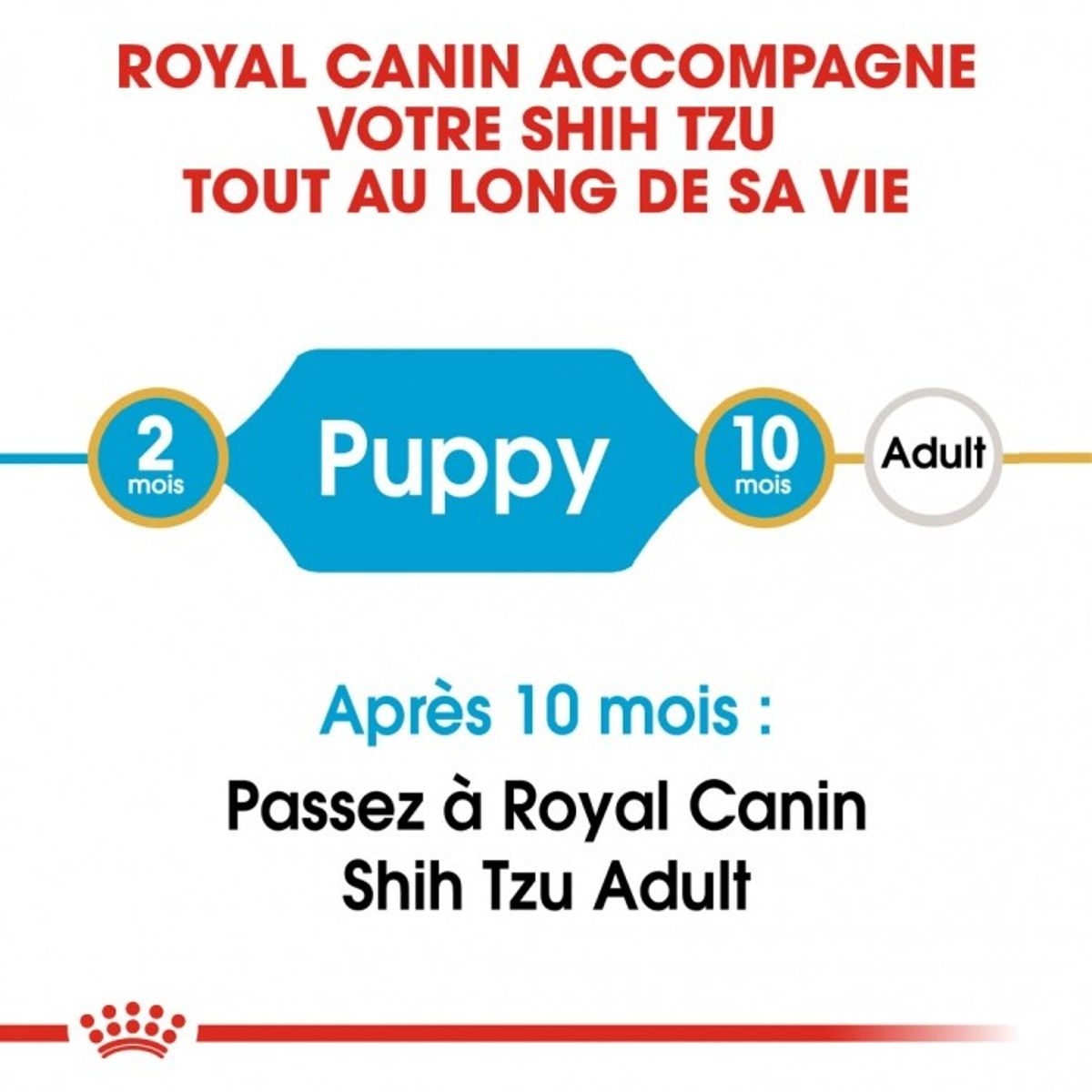 Shih Tzu Junior - Royal Canin (1.5 kg)
