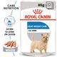 Light Weight Care Mousse à l'unité - Royal Canin