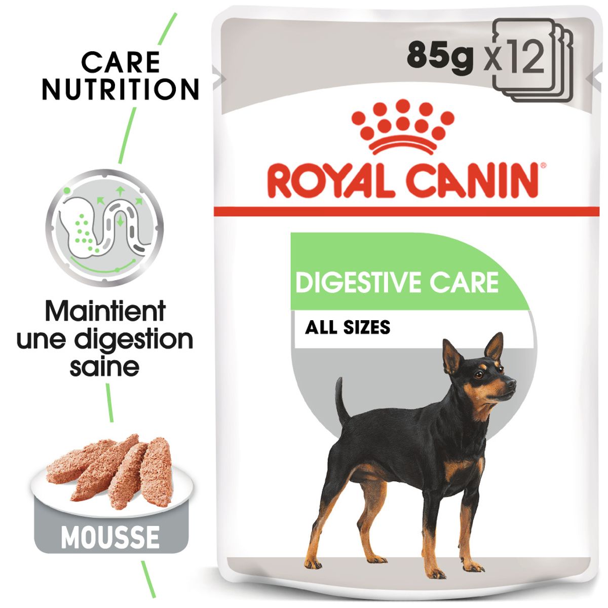 Digestive Care Mousse 12 x 85 g - Royal Canin