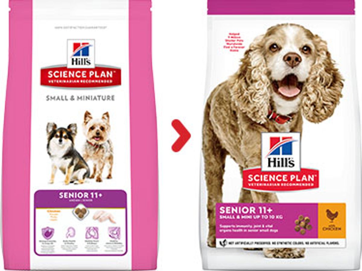 Canine "Senior 11+ "Small & Mini Poulet - Hill's Science Plan