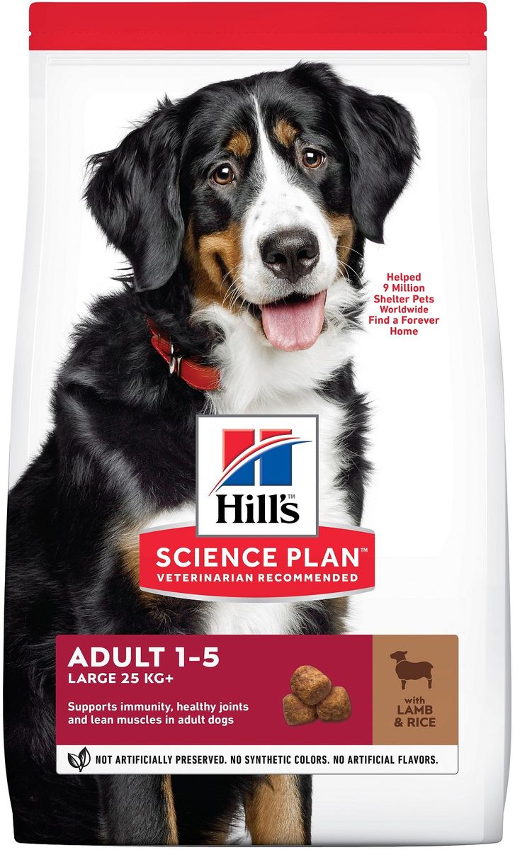 Canine Adult Large Breed Agneau & Riz - Hill's Science Plan