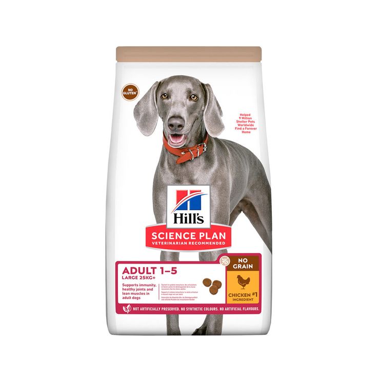 Canine Adult Large No Grain Poulet - Hill's Science Plan