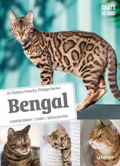 Bengal - Éditions Ulmer