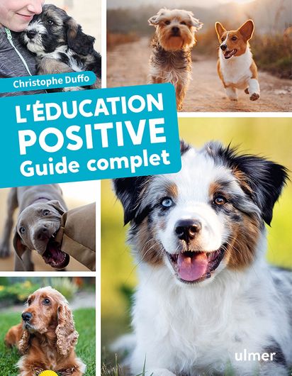 L'éducation positive du chien - Éditions Ulmer