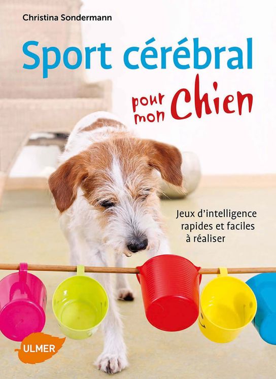 Sport cérébral pour mon chien - Éditions Ulmer