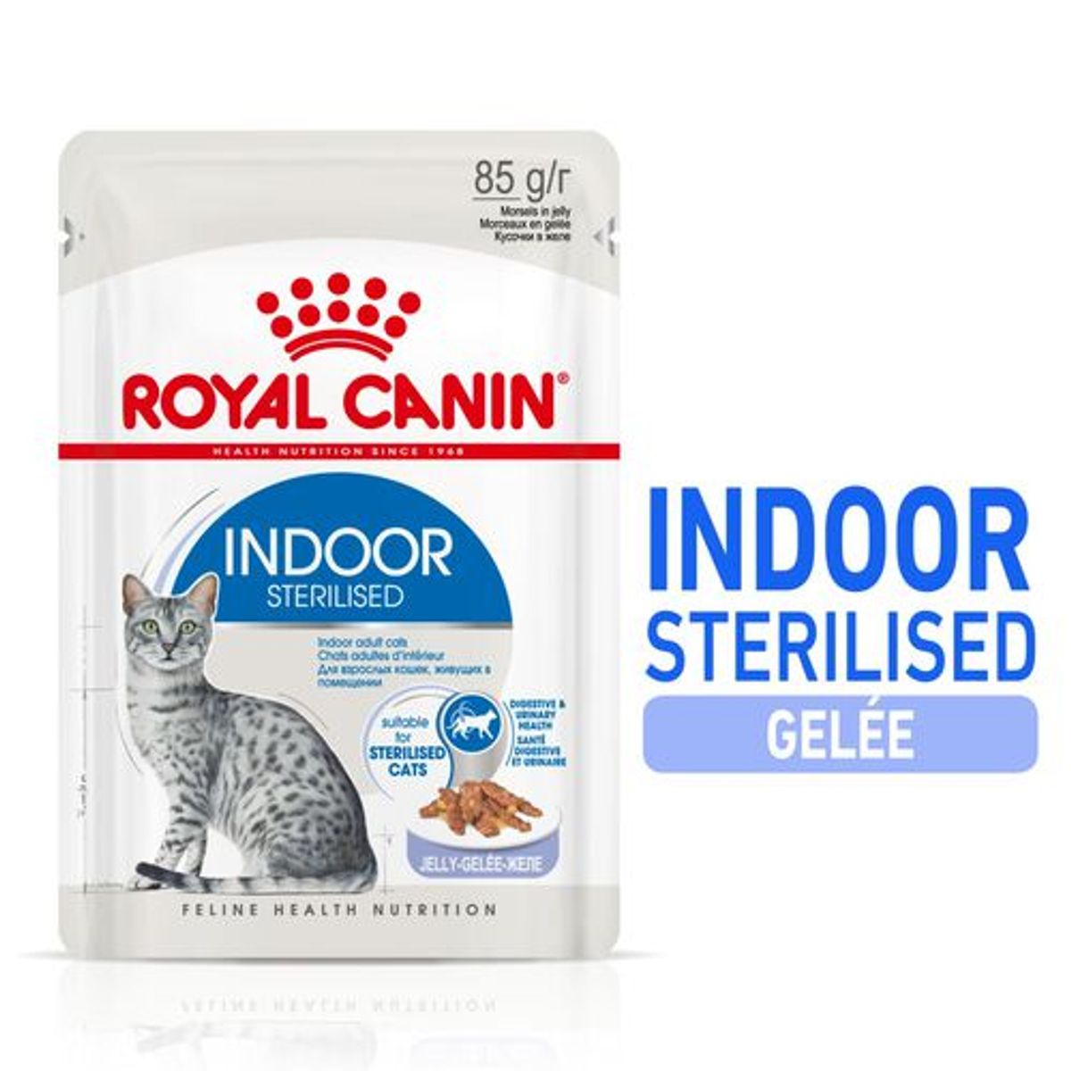 Feline Nutrition Indoor Sterilised en gelée 12 x 85 g - Royal Canin