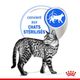 Feline Nutrition Indoor Sterilised en mousse 12 x 85 g - Royal Canin