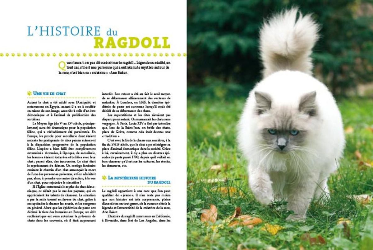 Le Ragdoll - Artemis Edition