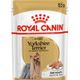 Mousse pour Yorkshire Terrier - Adult Royal Canin 12 x 85g