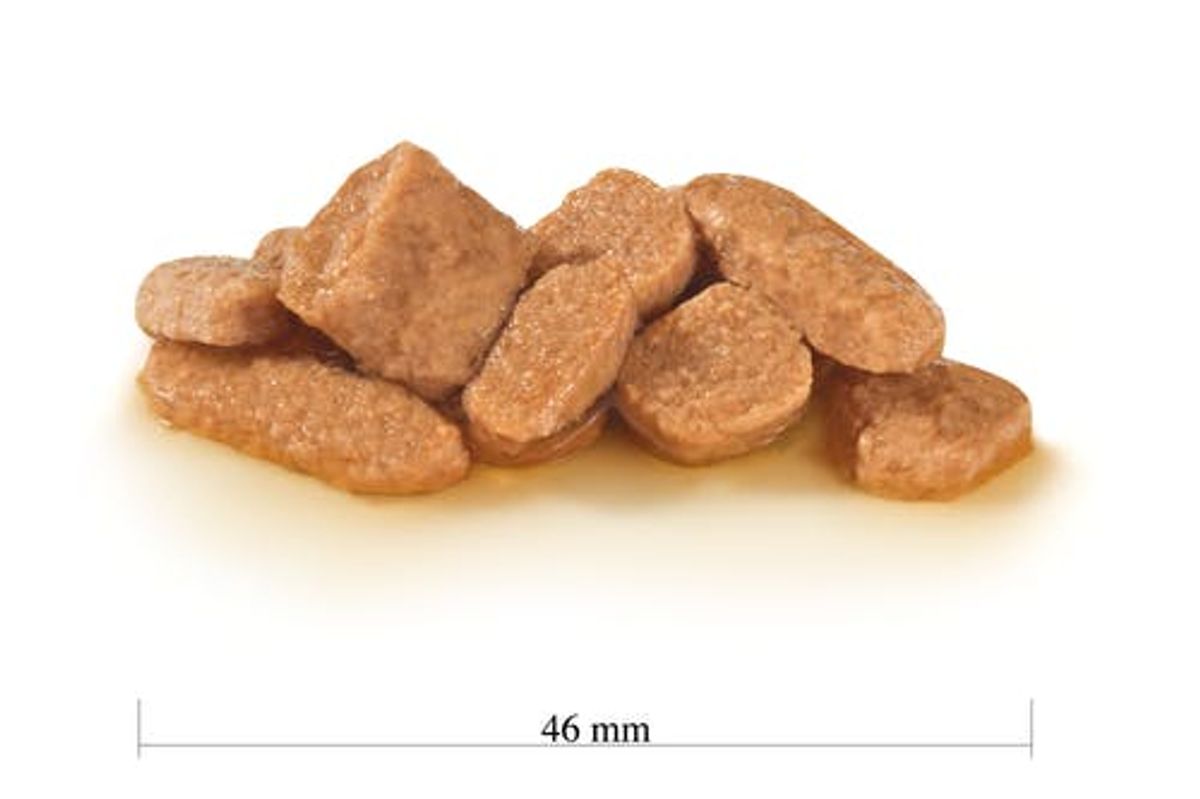 Bouchées en sauce pour chat stérilisé - Neutered Weight Balance - Royal Canin Veterinary Care Nutrition (12 x 85 g)