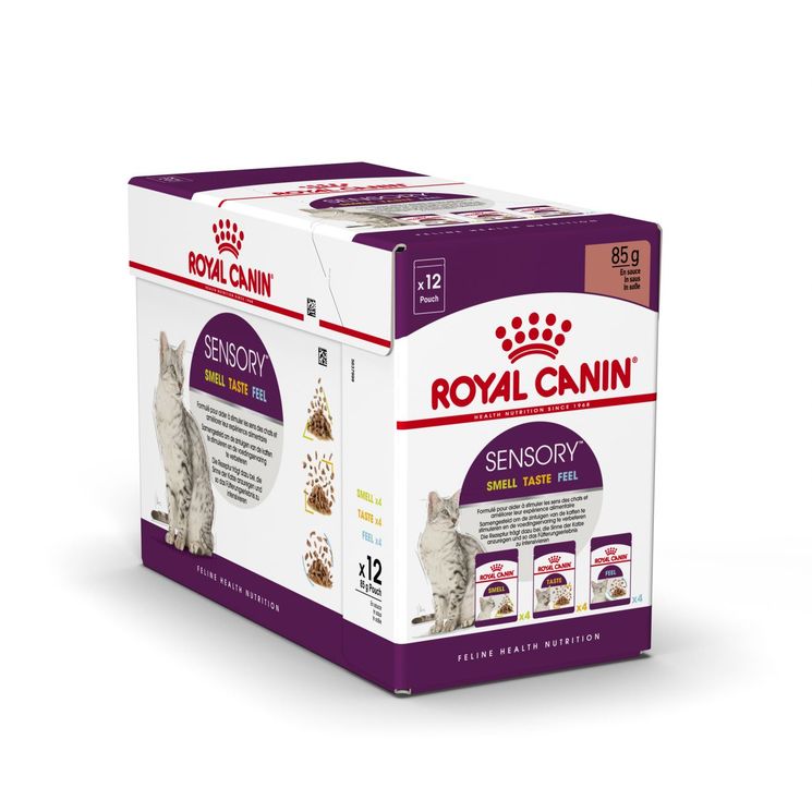 Multipack Sensory en sauce pour chat - Royal Canin