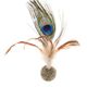 Herbe à chat plumes de paon - Ferribiella