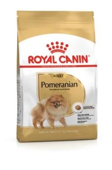 Adult Pomeranian - Royal Canin