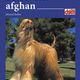 Le Lévrier Afghan - Artémis Edition