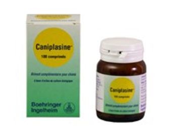 Caniplasine Chien - Boehringer (Flacon de 100 comprimés)