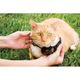 Collier supplémentaire Anti-fugue pour chat - Petsafe