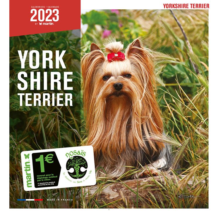 Calendrier 2023 Yorkshire - Martin Sellier
