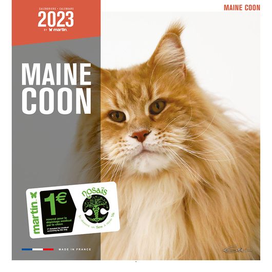 Calendrier 2023 Maine Coon - Martin Sellier