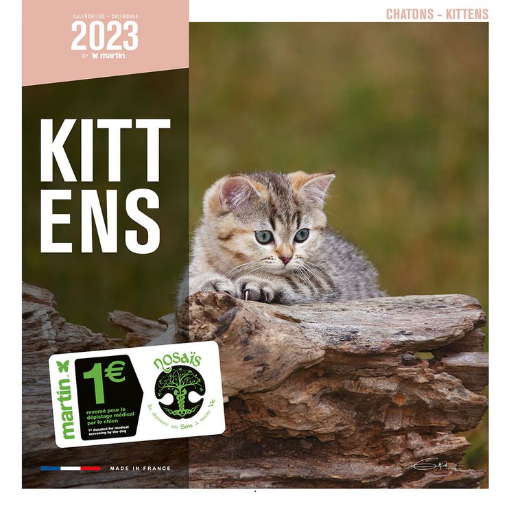 Calendrier 2023 Chatons - Martin Sellier