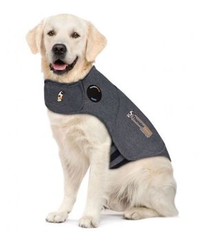 Gilet gris pour chien anti-stress - ThunderShirt