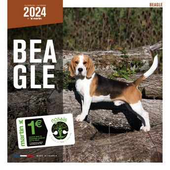 Calendrier 2024 Beagle - Martin Sellier 