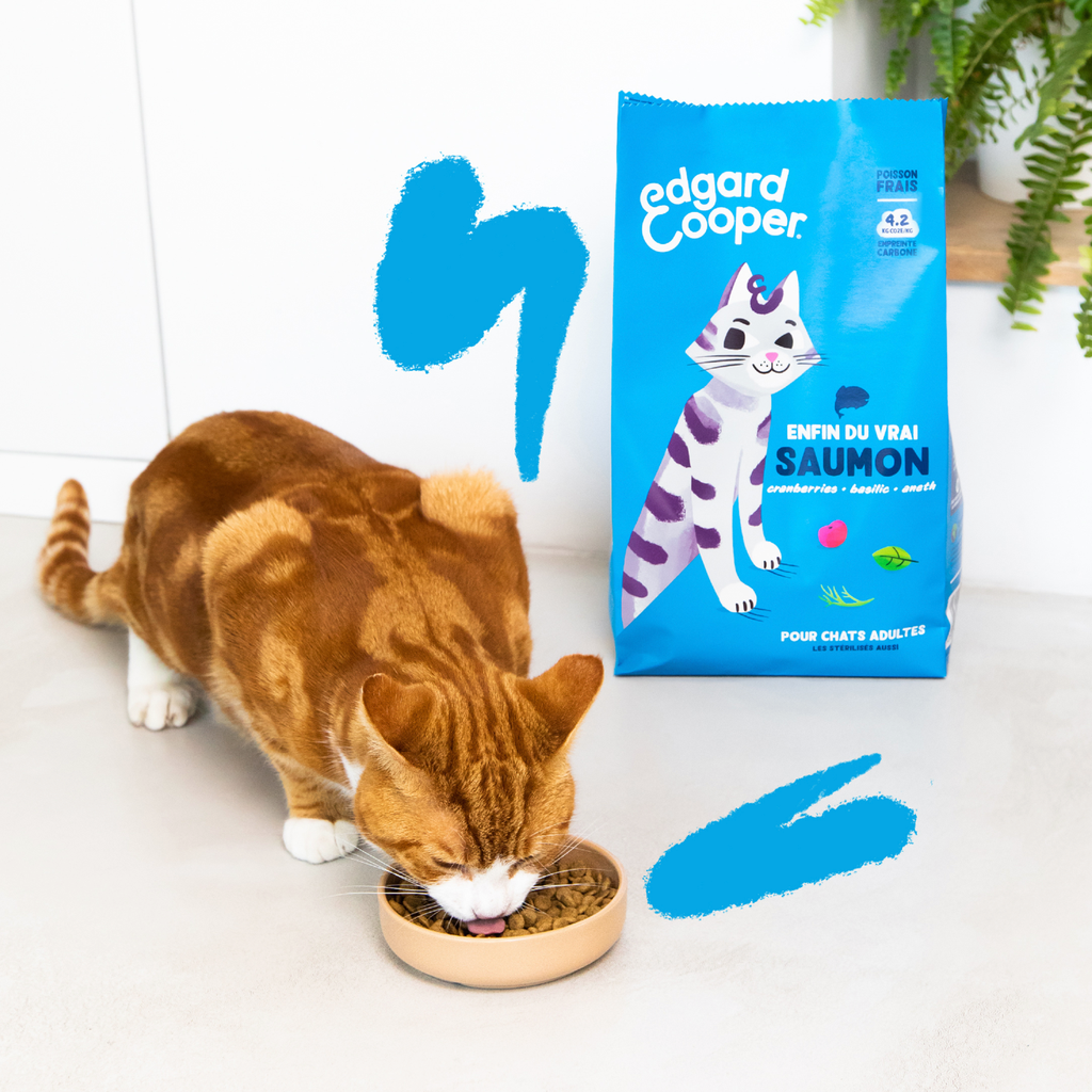 Croquettes pour chat adulte au saumon (2 kg) - Edgard & Cooper