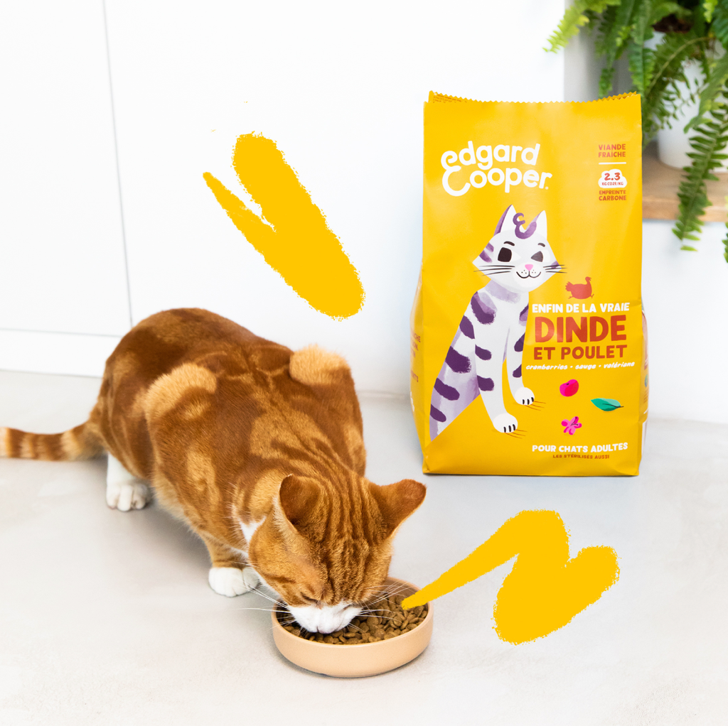 Croquettes pour chat adulte à la dinde et au poulet (2 kg) - Edgard & Cooper