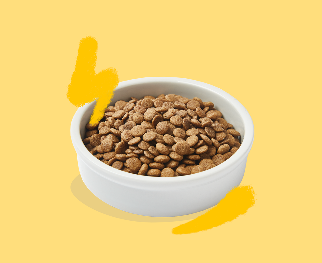 Croquettes pour chat adulte à la dinde et au poulet (2 kg) - Edgard & Cooper