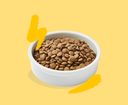 Croquettes pour chat adulte à la dinde et au poulet (2 kg) - Edgard & Cooper