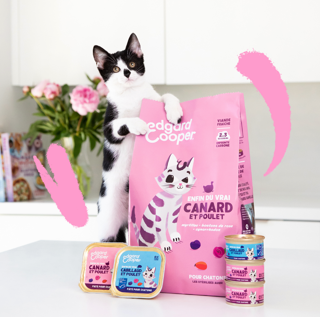 Croquettes pour chaton au canard et au poulet (2 kg) - Edgard & Cooper