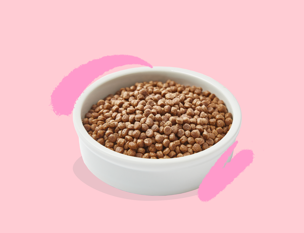 Croquettes pour chaton au canard et au poulet (2 kg) - Edgard & Cooper