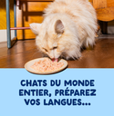 Filets pour chat au thon (70 g) - Edgard & Cooper