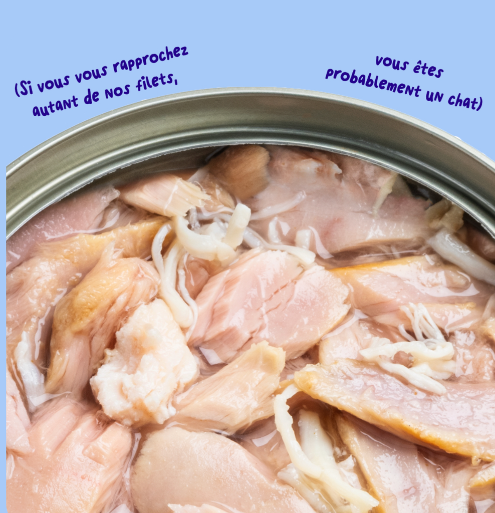 Filets pour chat au thon et au poulet (70 g) - Edgard & Cooper