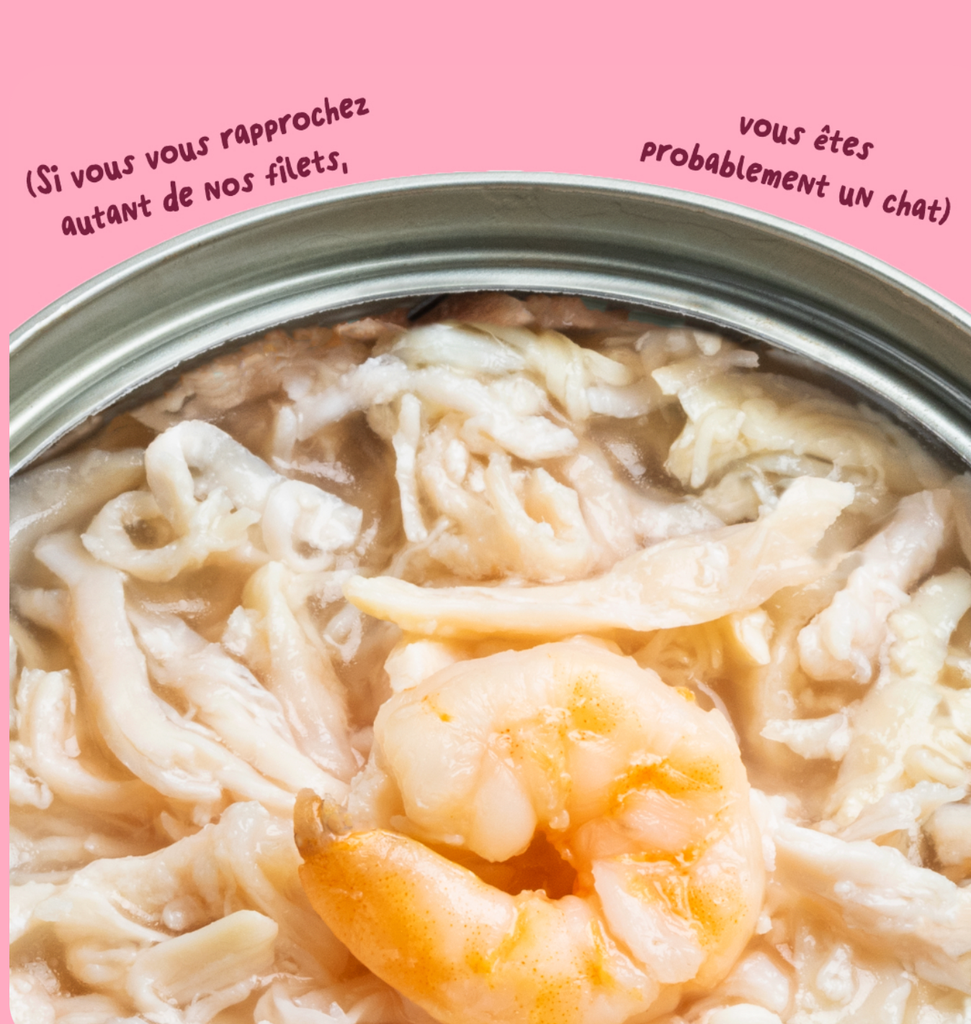 Filets pour chat au thon et aux crevettes (70 g) - Edgard & Cooper