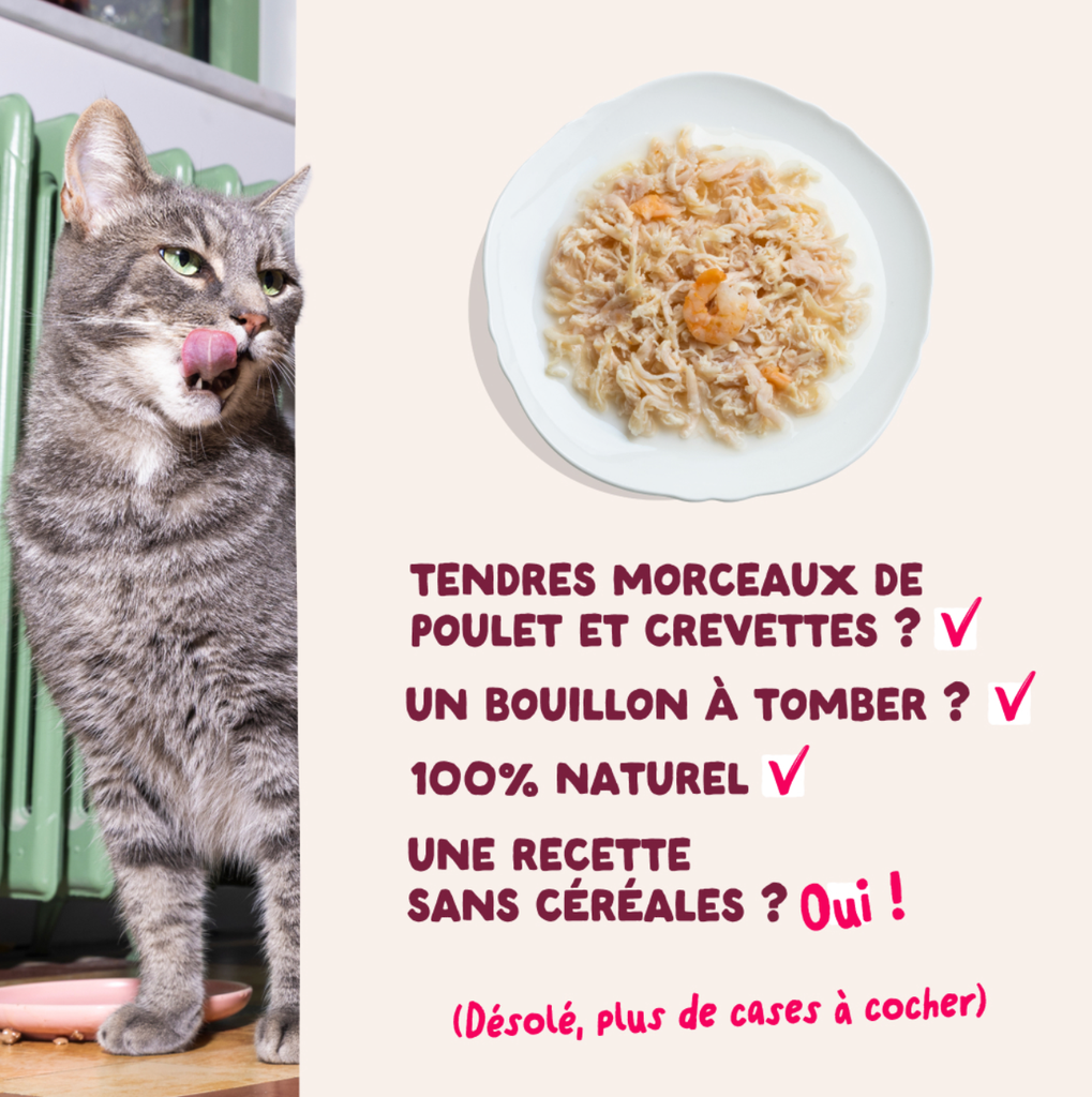 Filets pour chat au thon et aux crevettes (70 g) - Edgard & Cooper