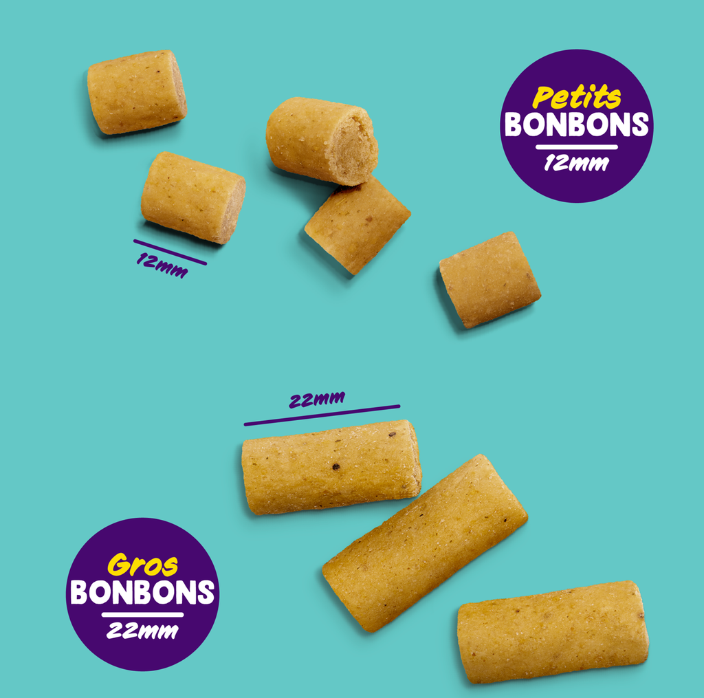 Friandises Bonbons Saumon Grands morceaux (50 g) - Edgard & Cooper