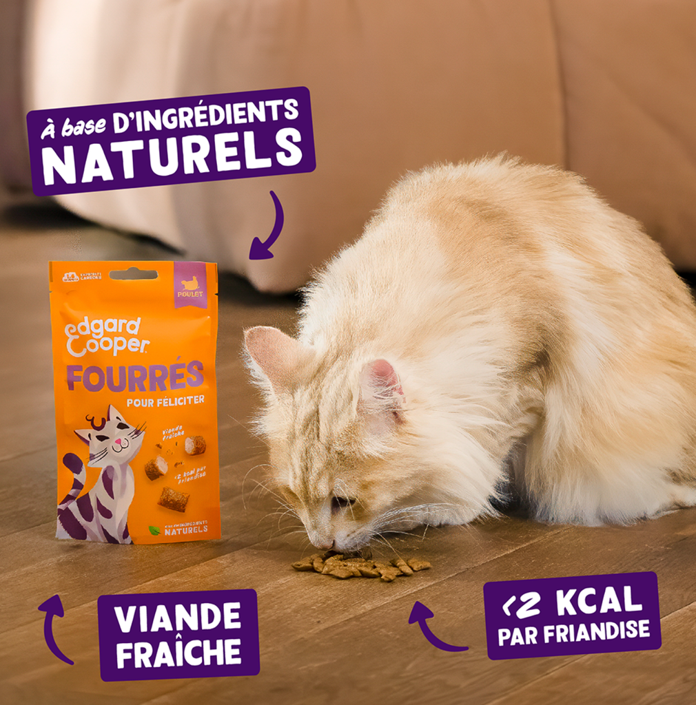 Friandises chat crunchies au poulet (50 g) - Edgard & Cooper
