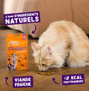 Friandises chat crunchies au poulet (50 g) - Edgard & Cooper