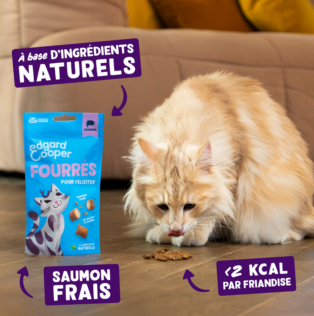 Friandises chat crunchies au saumon (50 g) - Edgard & Cooper