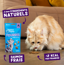 Friandises chat crunchies au saumon (50 g) - Edgard & Cooper