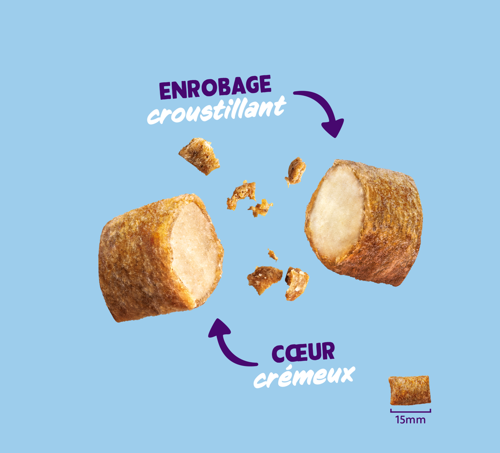Friandises chat crunchies au saumon (50 g) - Edgard & Cooper