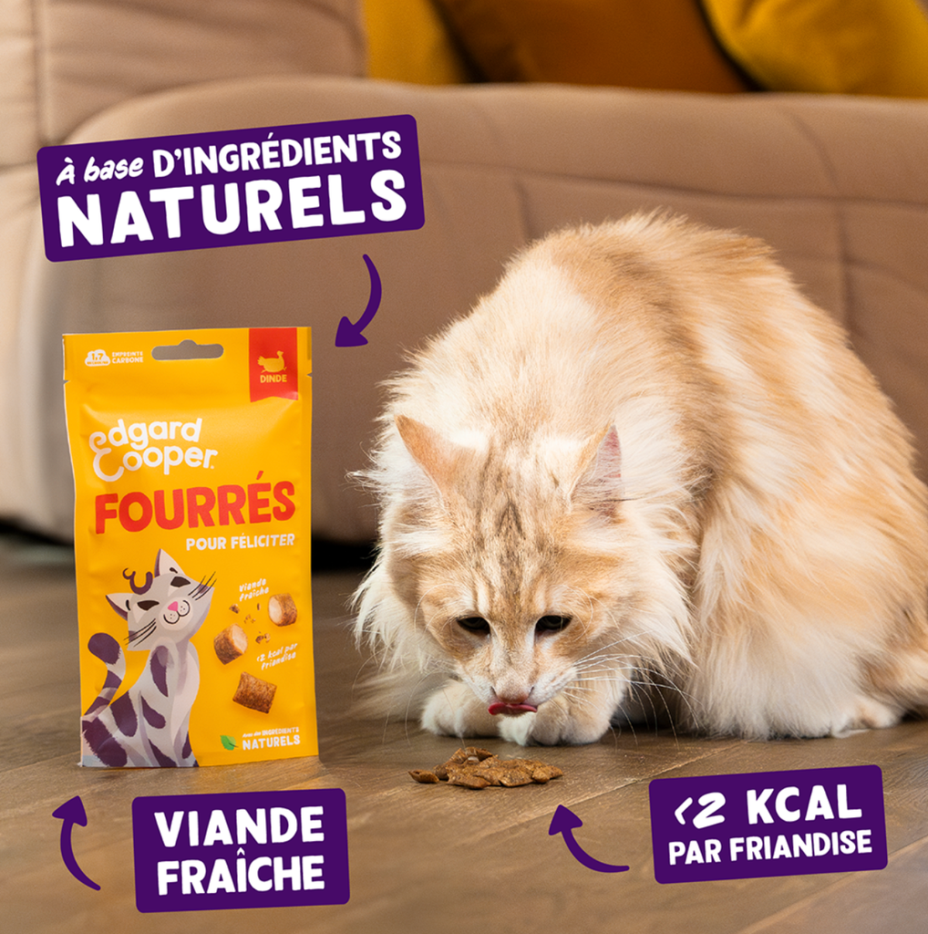Friandises chat fourrées au dinde (60 g) - Edgard & Cooper
