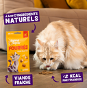 Friandises chat fourrées au dinde (60 g) - Edgard & Cooper