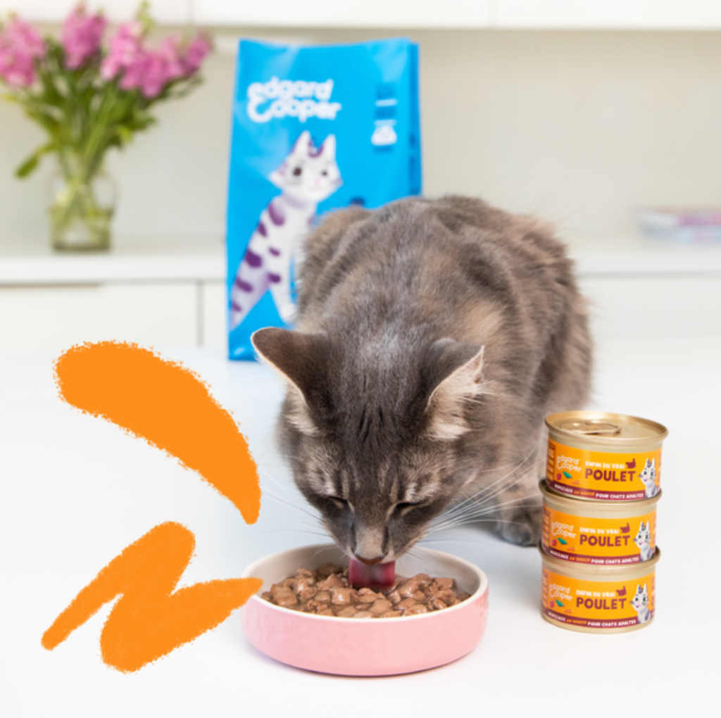 Morceaux en sauce pour chat au poulet (85 g) - Edgard & Cooper
