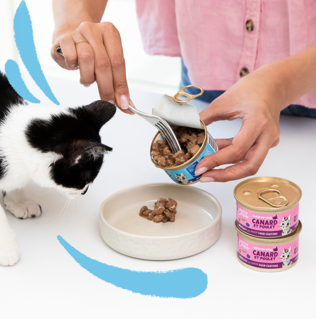 Morceaux en sauce pour chaton au canard et au poulet (85 g) - Edgard & Cooper