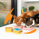 Pâté moelleuse pour chat au saumon et au poulet (85 g) - Edgard & Cooper