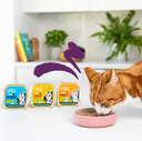 Pâté moelleuse pour chat au saumon et au poulet bio (85 g) - Edgard & Cooper