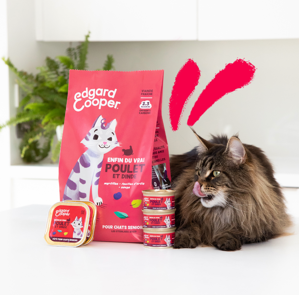 Pâté moelleuse pour chat senior au poulet et à la dinde (85 g) - Edgard & Cooper