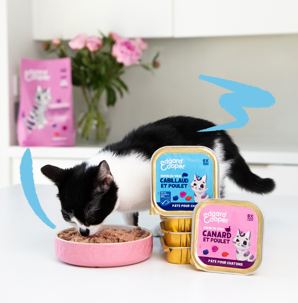 Pâté moelleuse pour chaton au cabillaud et au poulet (85 g) - Edgard & Cooper