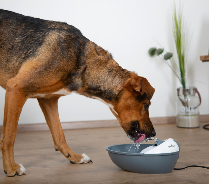 Fontaine "Classic Pet Fountain" (1.75 litres) - Eyenimal